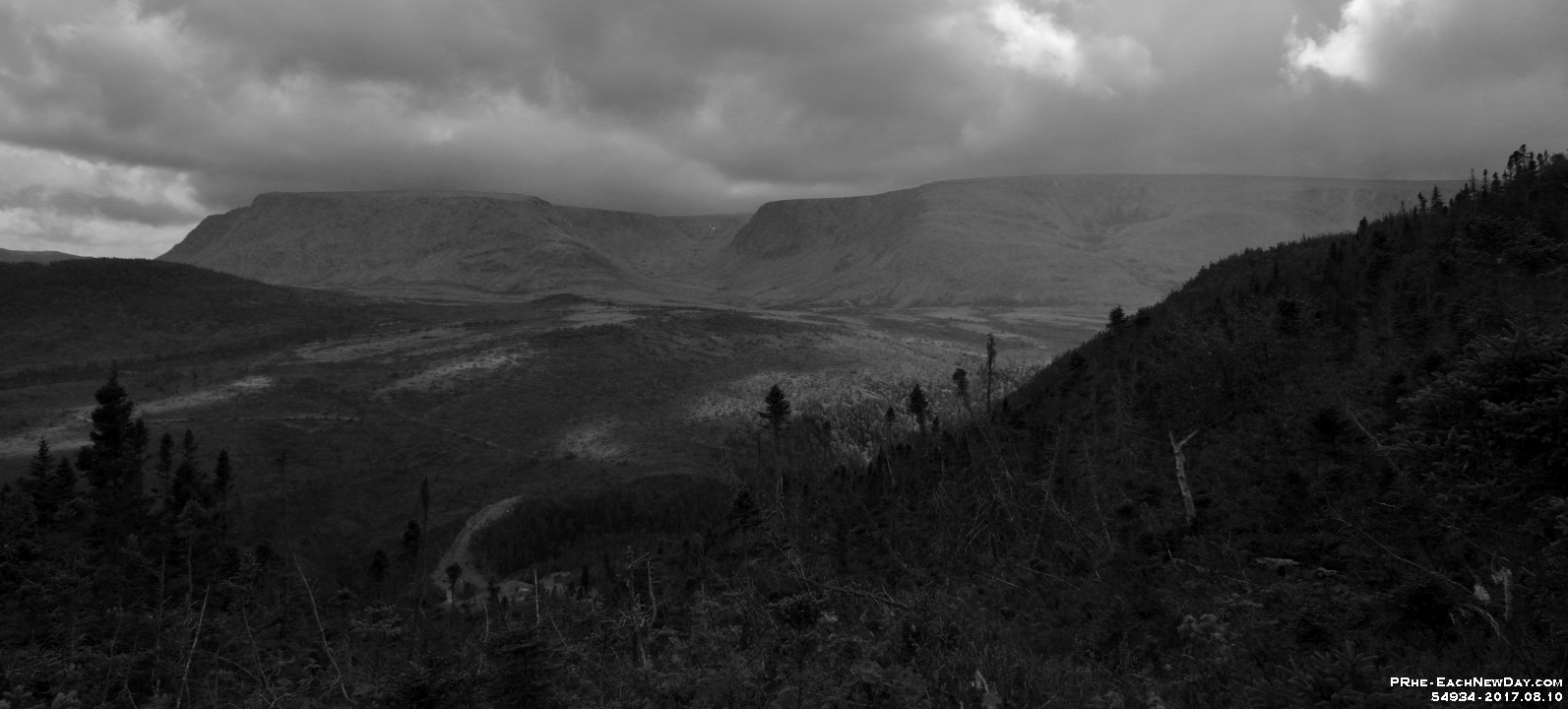54934CrLeBw - Along the Lookout Trail - Gros Morne National Park